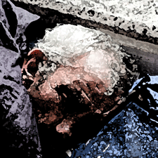 Plight