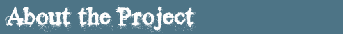 About the Project