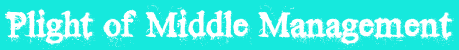 Plight of Middle Management